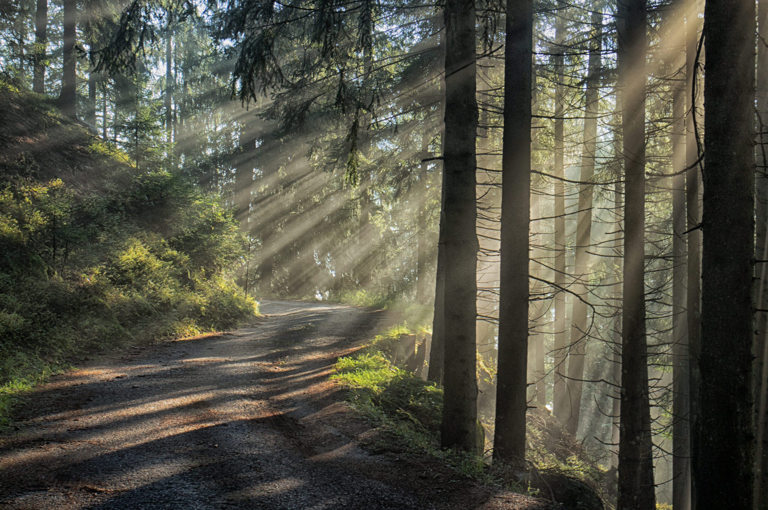 Natur Ahrntal Valle Aurina © TV Ahrntal Filippo Galluzzi()