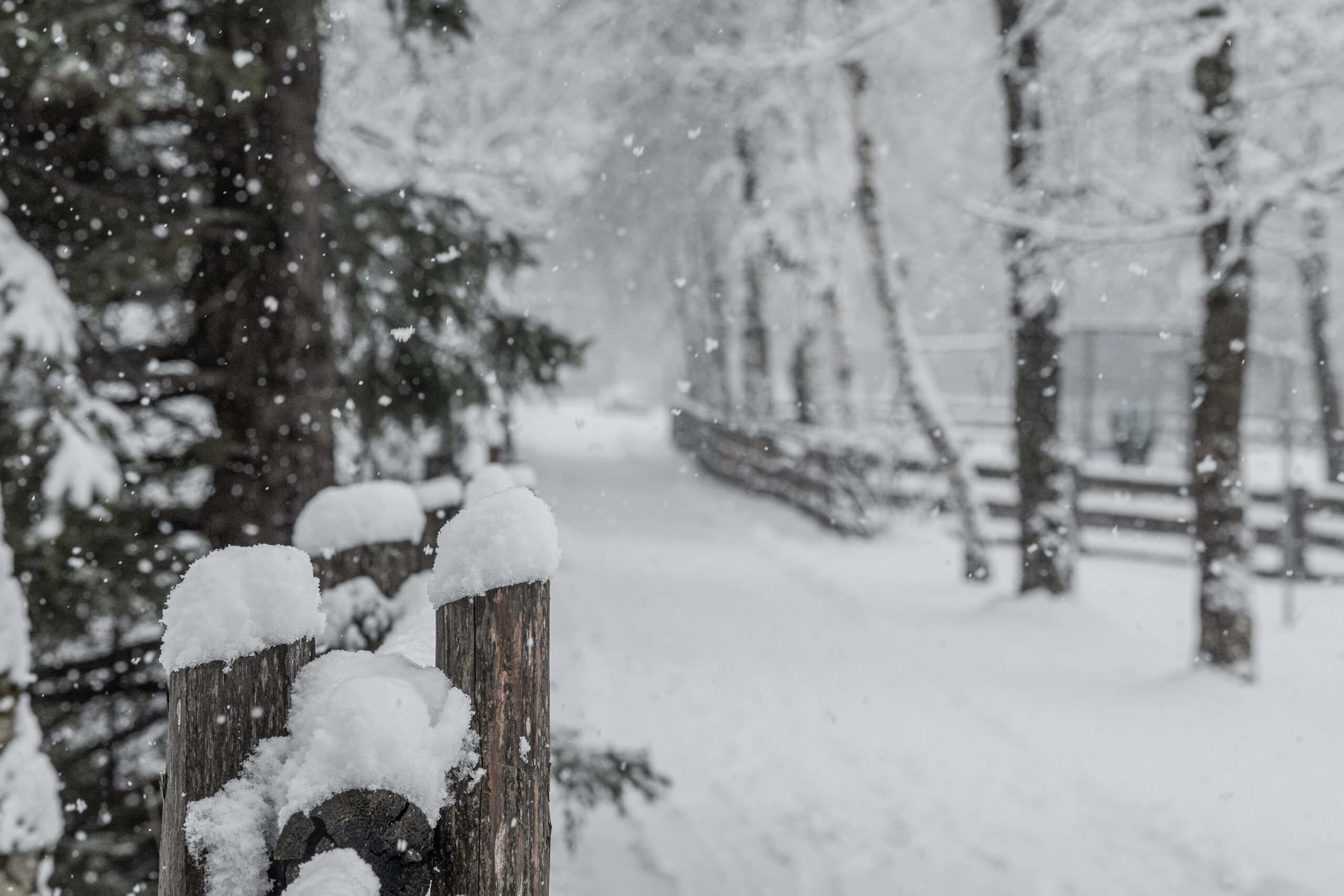 Winter Ahrntal Valle Aurina © TV Ahrntal Martin Zimmerhofer